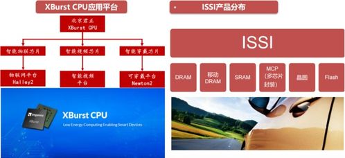 芯片微電子行業 mcu 脫水研報